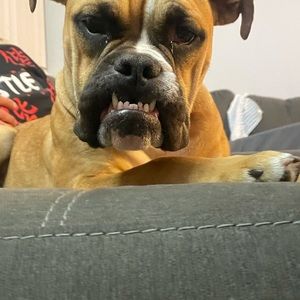 Meet your Posher, Secily